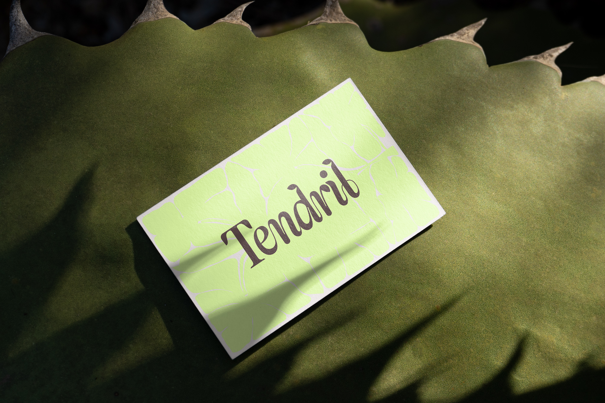 Tendril-Business-Card